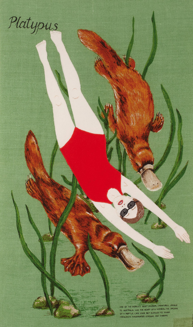 Swimming with Platypus, 2009