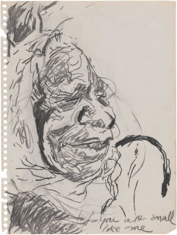 Untitled (Study for 'Emily Kame Kngwarreye with Lily')