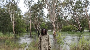 Kanjdjihkanjdji Madjinbardi Kukabo (Down by the River at Madjinbardi), 2025 Shannon Nango