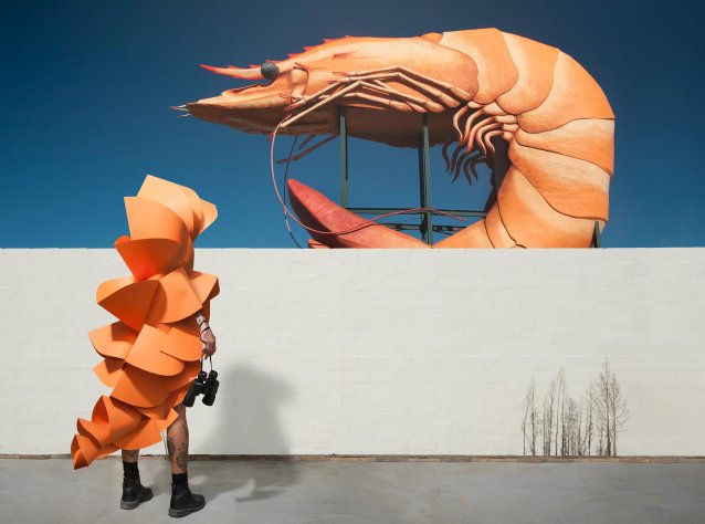 Prawn, from the series ‘Heatwave’, 2017 Gerwyn Davies