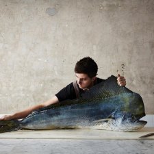 The Mahi-mahi, 2019 (printed 2026) Rob Palmer The Mahi-mahi, 2019 (printed 2026) Rob Palmer