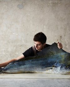 The Mahi-mahi, 2019 (printed 2026) Rob Palmer The Mahi-mahi, 2019 (printed 2026) Rob Palmer
