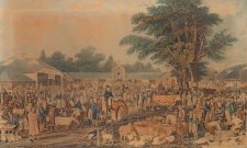 Woburn Sheepshearing