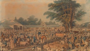 Woburn Sheepshearing