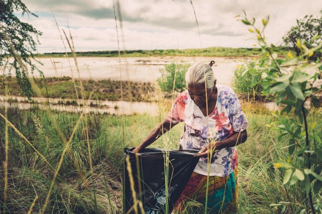 Collecting Dumbuyumbu (bush medicine), Yanyuwa Country  , 2020 Benjamin Warlngundu Ellis