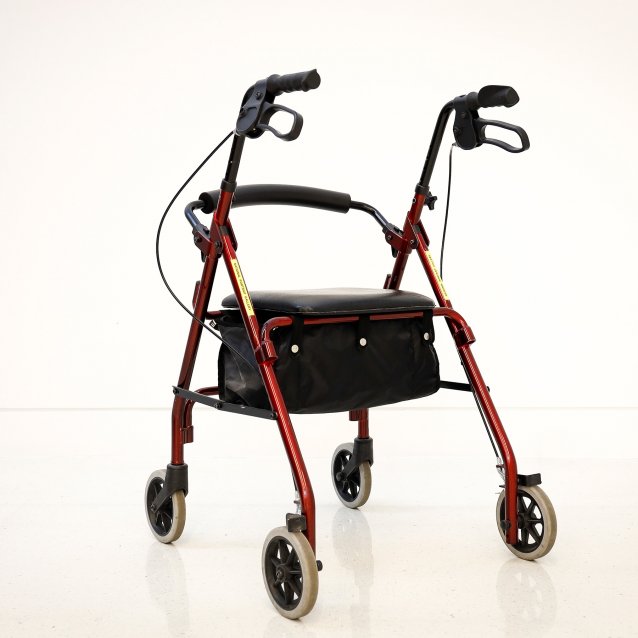 An example of the walkers available at the Gallery