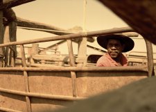 Stockyards, 2011 by Adrian Brown