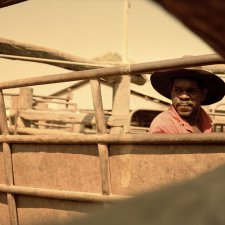 Stockyards, 2011 by Adrian Brown