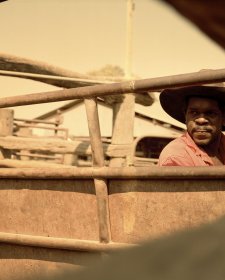 Stockyards, 2011 by Adrian Brown