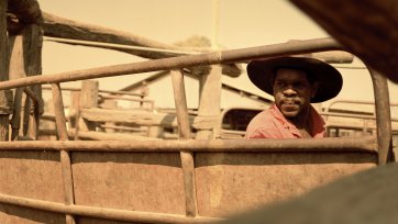 Stockyards, 2011 by Adrian Brown