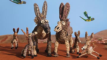 Tangki Tjuta Donkeys