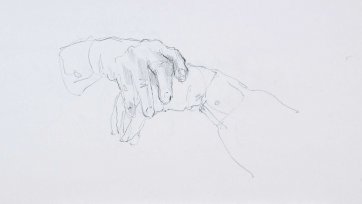 Study for portrait of Frank Fenner AC CMG MBE