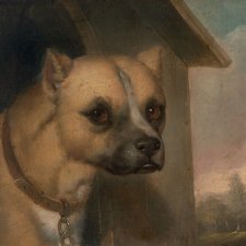 Staffordshire bull terrier belonging to the Rev. John Gower, 1851