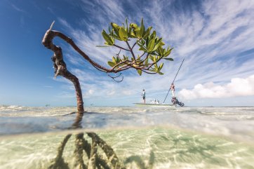 Angler patrolling the shallow flats – South Andros, Bahamas, 2017 Matt Jones