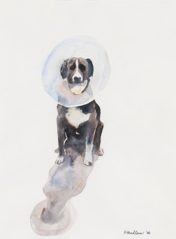 Elizabethan Collar, 2006 by Kristin Headlam
Courtesy the artist and Charles Nodrum Gallery