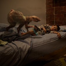 Bedroom, 10.30 pm (from 'The Fitzroy Series'), 2011 by Patricia Piccinini