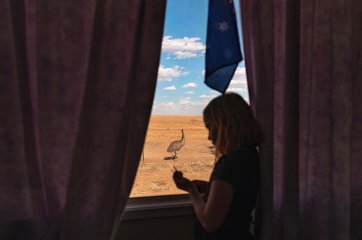 Bella in the window of her home school, 2019 Agi Davis