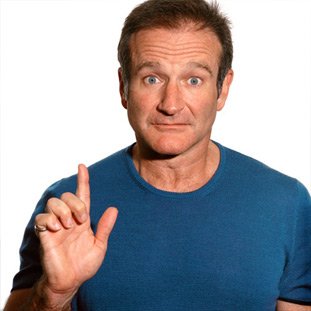 Robin Williams by Karin Catt