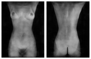 Torso diptych, 2002