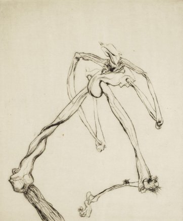 Striding bone figure, c.1938 by Geoffrey Graham