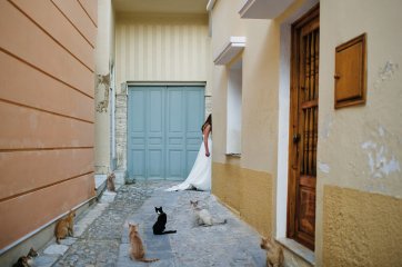 Untitled [alley cats], 2011 © Kelly Tunney