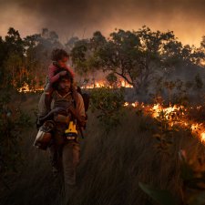 Bushwalk, 2021 Matthew Abbott