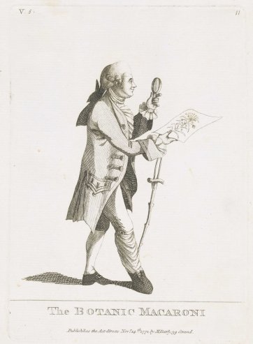 The Botanic Macaroni, 1772 by Matthias Darly The Botanic Macaroni, 1772 by Matthias Darly